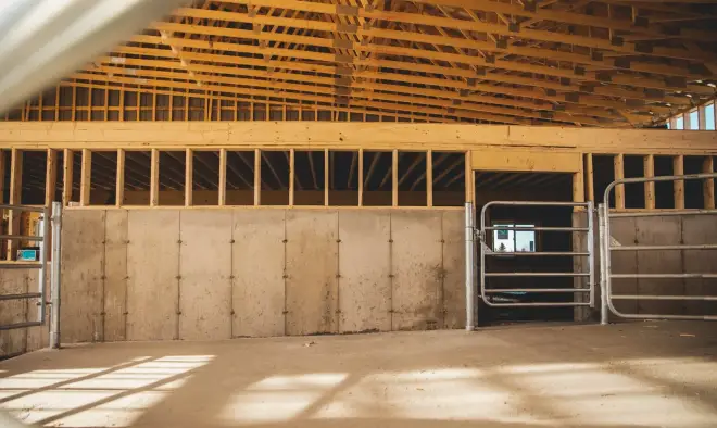 Intérieur d’un bâtiment de ferme : mur de béton bas, barrières d’enclos métalliques et charpente de bois au-dessus.