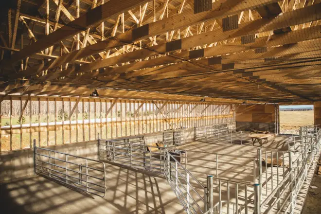 Intérieur d’un bâtiment agricole terminé, dalle de béton au sol et fermes de bois au plafond.